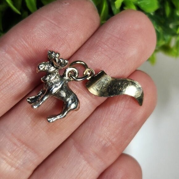 925 Sterling Silver Minnesota Charm - Picture 2 of 2